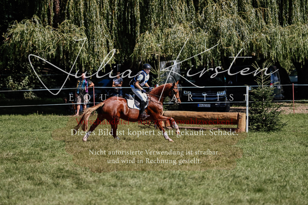 DSC_1357 | Pferde- und Turnierfotografie in Westsachsen. Pferdeportraits, Auftragszeichnungen und intuitive Kunst.