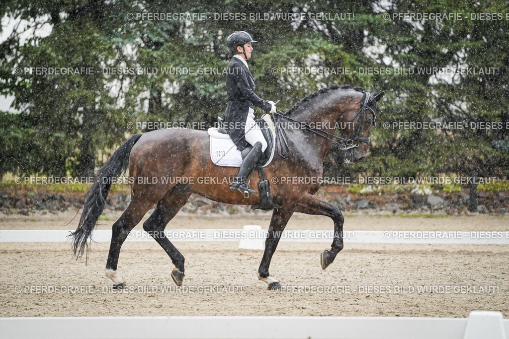 DSC08106 | Pferdegrafie