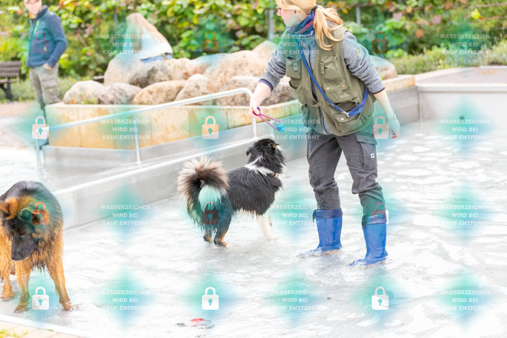 _HP_7384_1000o | HetPix, HetPix Fotodesign, Fotografie, Fotodesign, Webshop, Sportfotografie, Portraitfotografie, Onlineshop, Sportfotografie, Polch, Motorsportfotografie, Eventfotografie