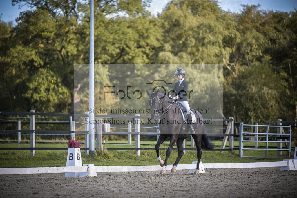 DOS_4325 | Entdecke hochwertige Reitturnierfotos von Foto Oger. Professionell, emotional und authentisch – jetzt Lieblingsmomente im Shop bestellen.Deutschlandweite Turnierfotografie. - Realisiert mit Pictrs.com