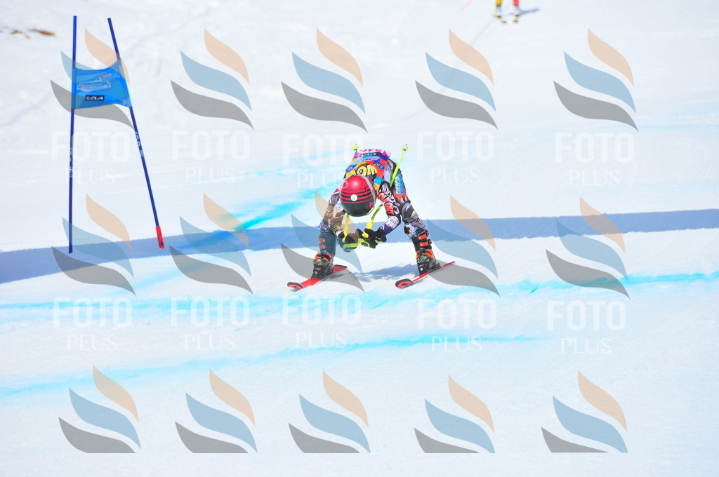 DSC_6889 | holidayphoto