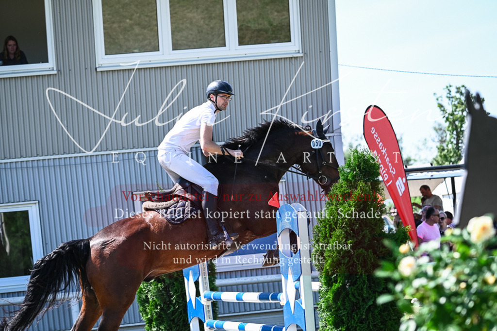 DSC_1219 | Pferde- und Turnierfotografie in Westsachsen. Pferdeportraits, Auftragszeichnungen und intuitive Kunst.