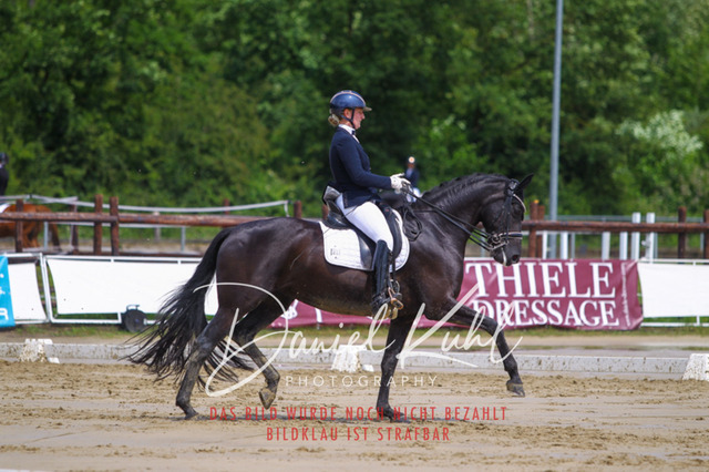 DKP40613 | Turniersportfotografie; Pferdefotografie; Dressurfotografie