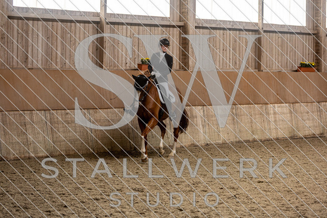 2L2A5016 | stallwerkstudio - Realisiert mit Pictrs.com