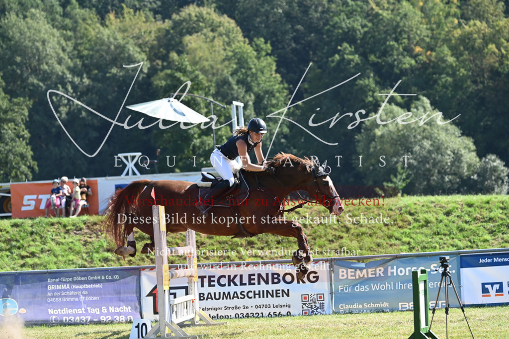 DSC_6475 | Pferde- und Turnierfotografie in Westsachsen. Pferdeportraits, Auftragszeichnungen und intuitive Kunst.