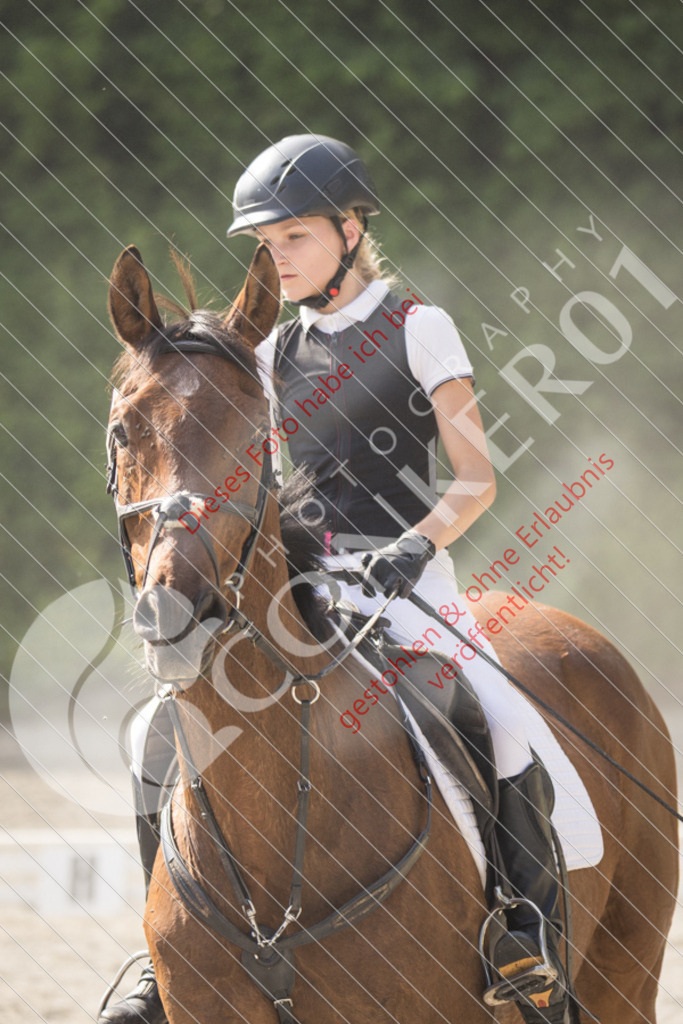 IMG_5790 | Sport-, Event- und Tierfotos in Profiqualität. Einfach auswählen, bestellen und herunterladen. Dein Moment – perfekt festgehalten.
