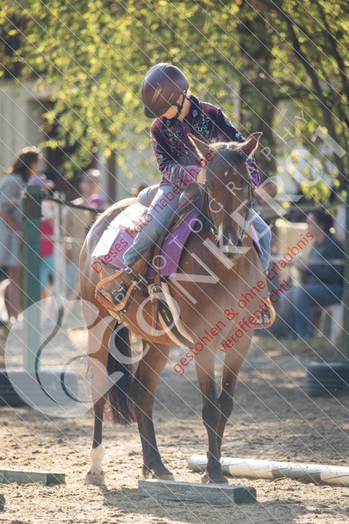 IMG_6419 | Sport-, Event- und Tierfotos in Profiqualität. Einfach auswählen, bestellen und herunterladen. Dein Moment – perfekt festgehalten.