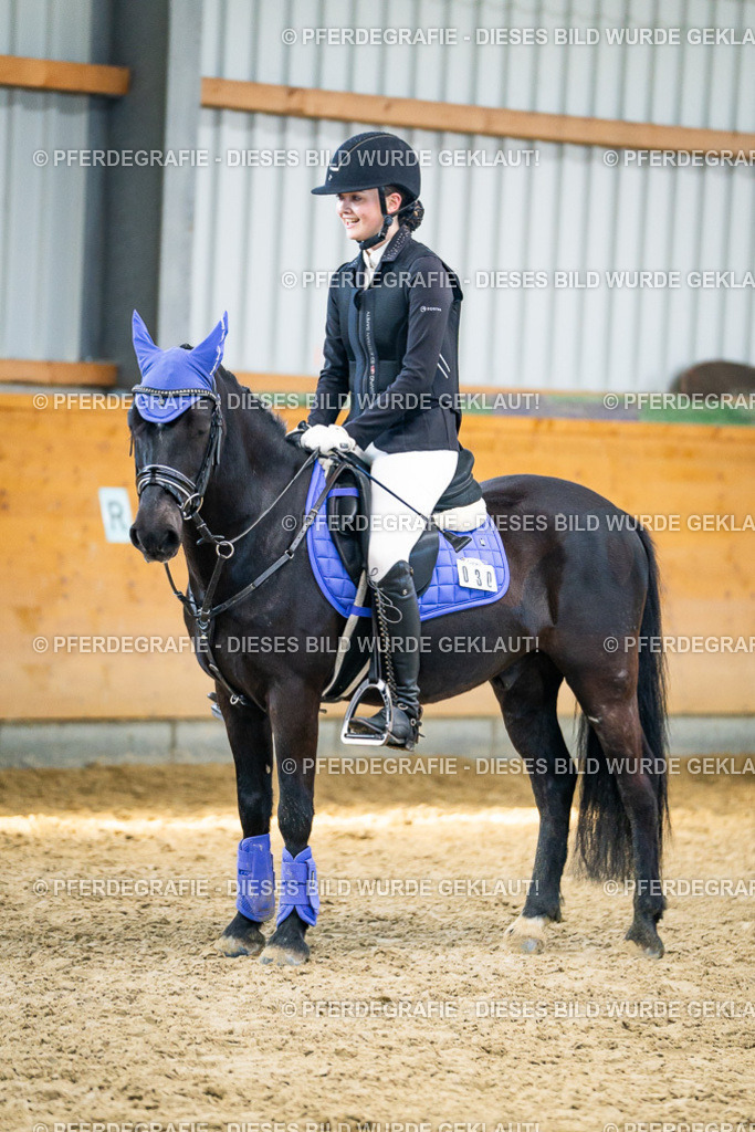 DSC01242 | Pferdegrafie