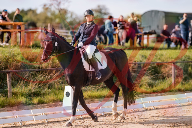 2026_10_03_Siefer-Hof_113634_Z81_80720214 | Professionelle Reitsport-, Turnier- und Eventfotografie von Robert Broda. Galerien mit ausgewählten und bearbeiteten Bildern direkt online ansehen und bestellen.