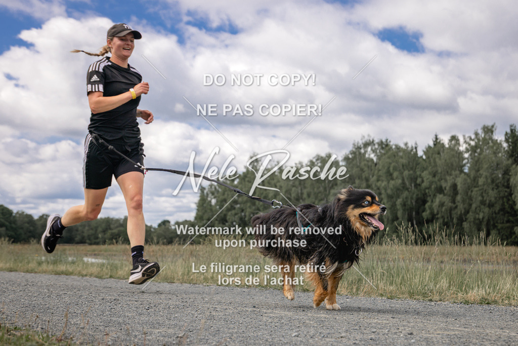 nelerasche_BuHu2026_SaCC1100-1200_133 | nelerasche