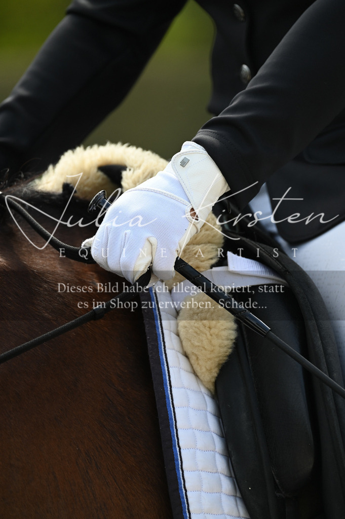 20230512_JK-Röhrsdorf-01-090 | Pferde- und Turnierfotografie in Westsachsen. Pferdeportraits, Auftragszeichnungen und intuitive Kunst.