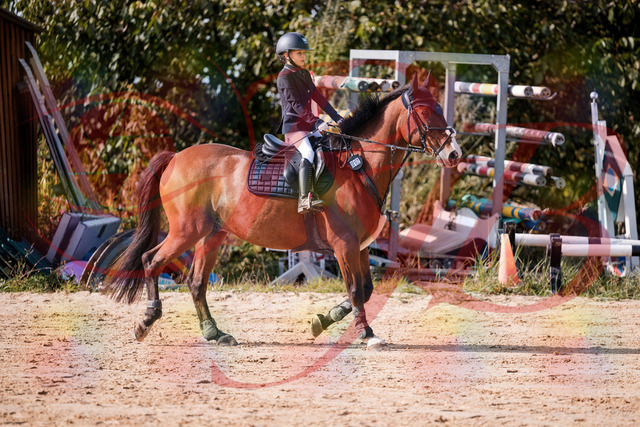 2026_10_03_Siefer-Hof_143726_Z81_05922669 | Professionelle Reitsport-, Turnier- und Eventfotografie von Robert Broda. Galerien mit ausgewählten und bearbeiteten Bildern direkt online ansehen und bestellen.