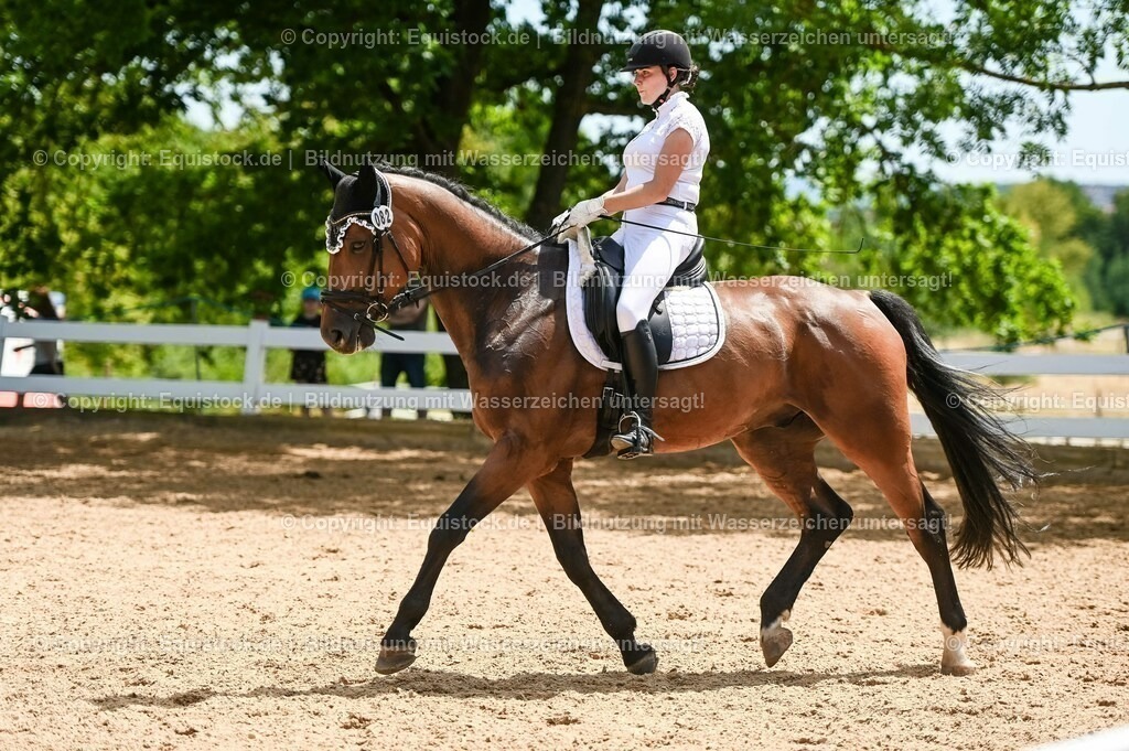 20230715_05_Dressurprüfung Kl.A++_0425 | equistock