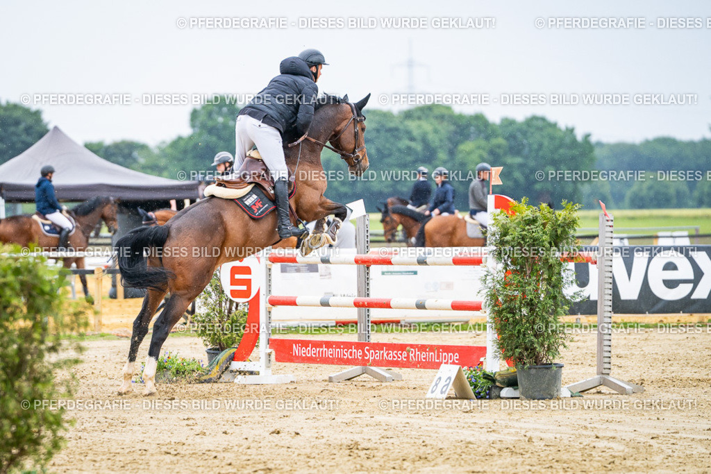 DSC08451 | Pferdegrafie