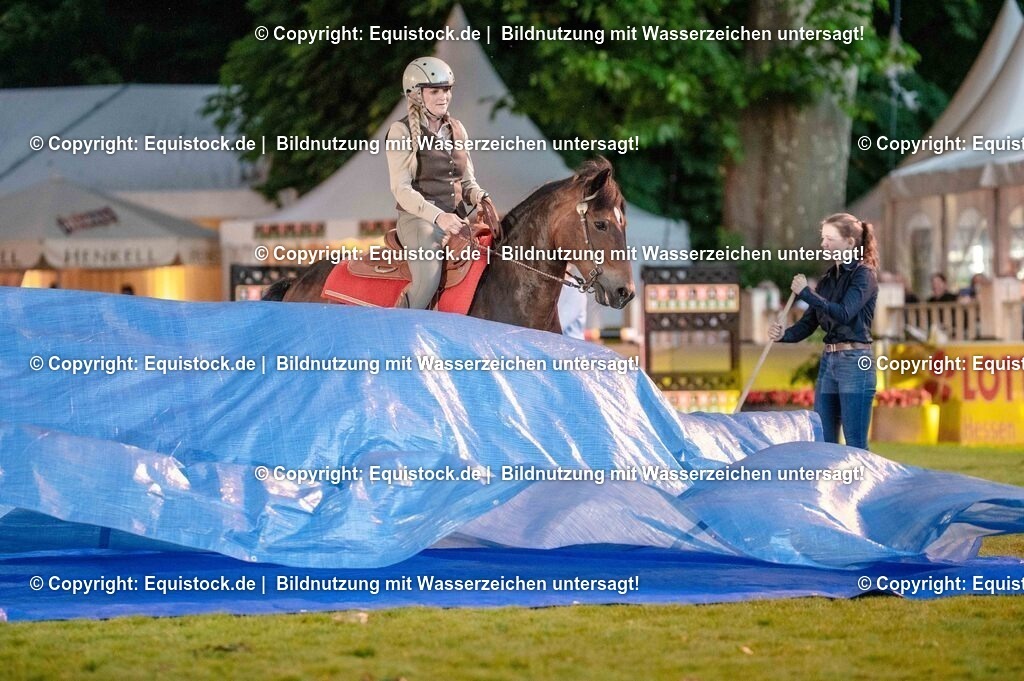 20250606_Lange-Pferdenacht_0987 | Foto: Thomas Hartig