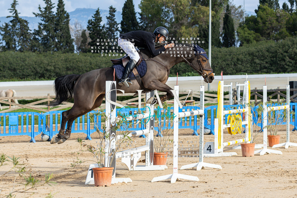 IMG_2077 | s-jay-photography - Realisiert mit Pictrs.com