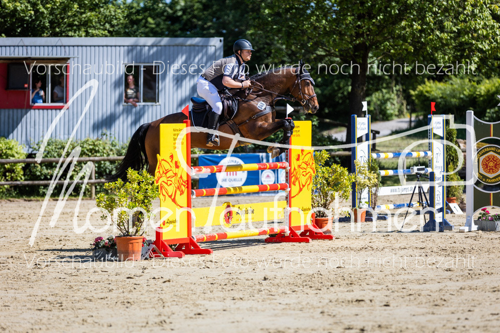 Donop24-M-Spr-079 | MomenTaufnahmen Pferdesportfotos