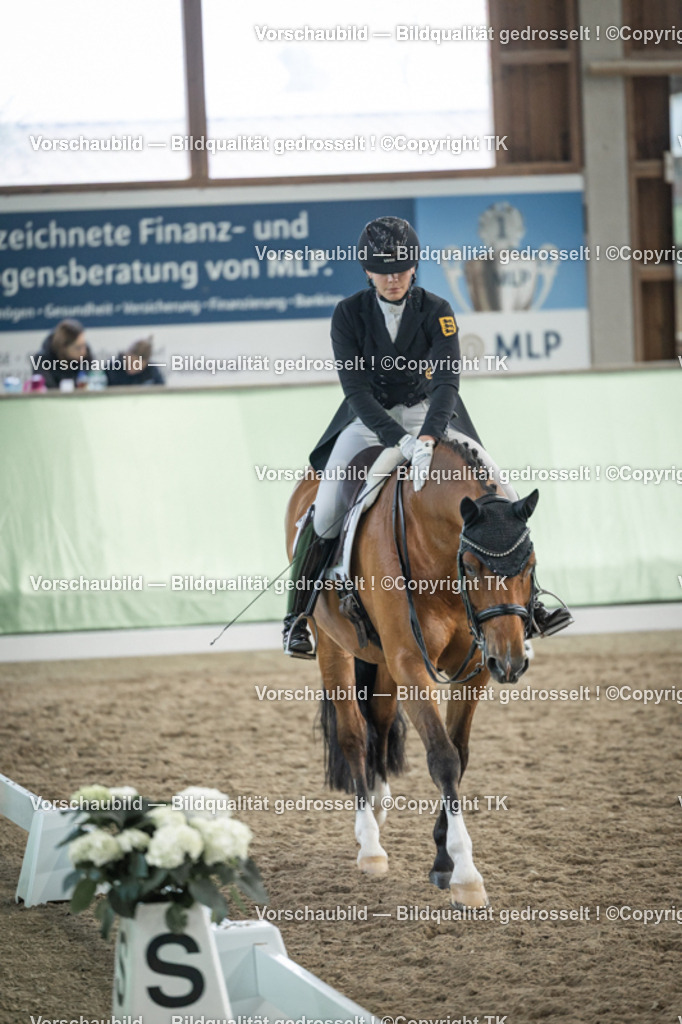 _D5A5983 | Emotionale Pferde- & People-Fotografie rund um Heidelberg, Leimen & Umgebung. Natürliche Fotos von Pferd, Mensch & Familie. Jetzt Termin sichern!