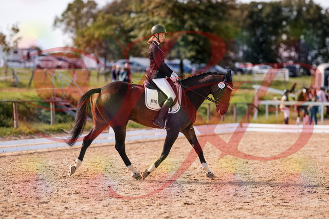 2026_10_03_Siefer-Hof_132532_Z81_76459786 | Professionelle Reitsport-, Turnier- und Eventfotografie von Robert Broda. Galerien mit ausgewählten und bearbeiteten Bildern direkt online ansehen und bestellen.