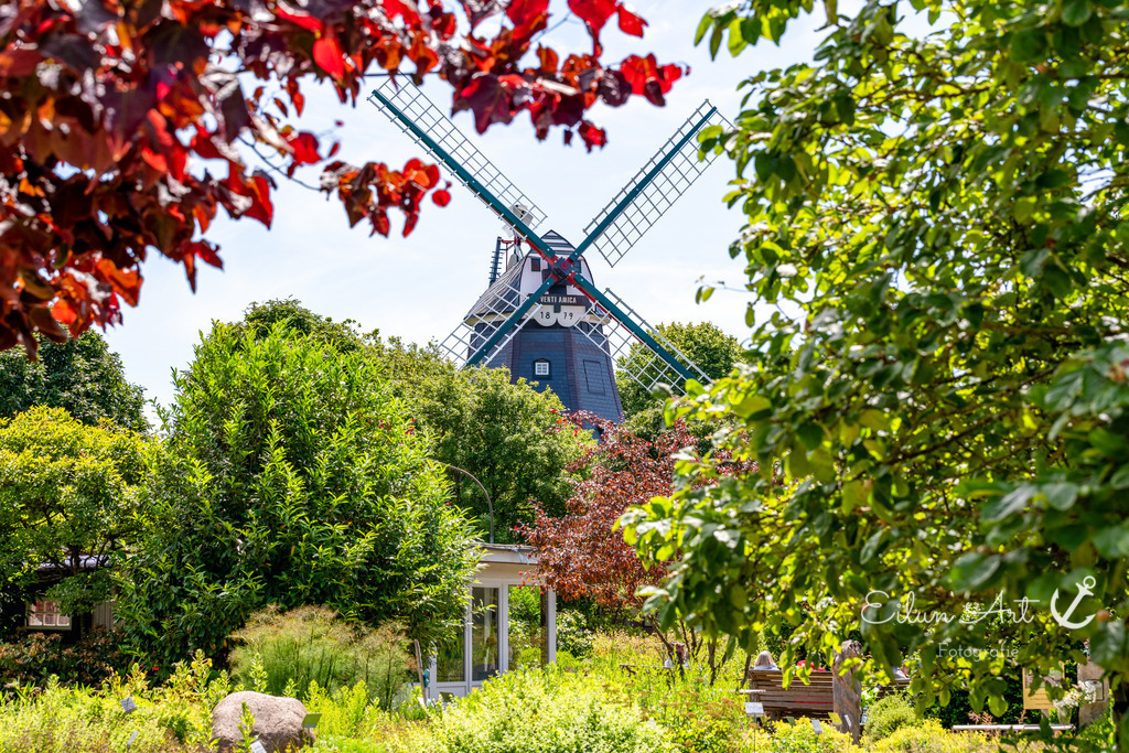 20240616-EAF_2246 | Eilun-Art-Fotografie Levke Martens, ihre Fotografin für Immobilien- und Landschaftsfotografie auf Föhr, Föhrer Motive als Poster, Leinwand, hinter Acrylglas oder stelle dir deinen eigenen Monatskalender zusammen, mit nur einem Klick