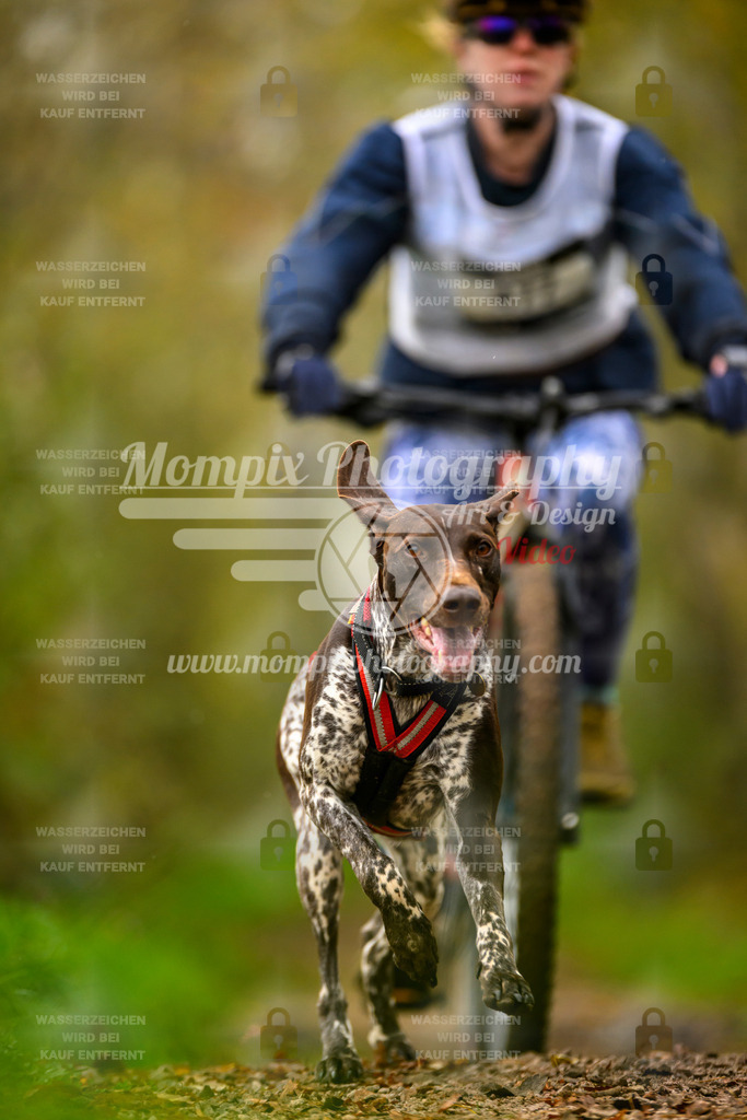 MompixPhotography_20TSB_E6_Bike-141 | mompixphotography