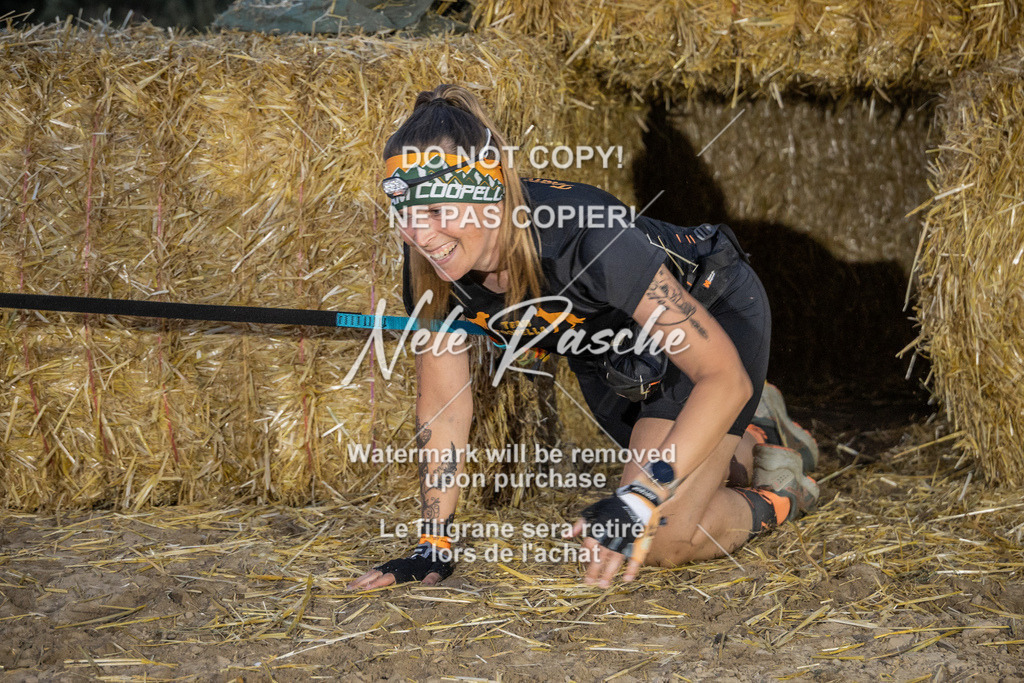 nelerasche_FrNacht_231 | nelerasche