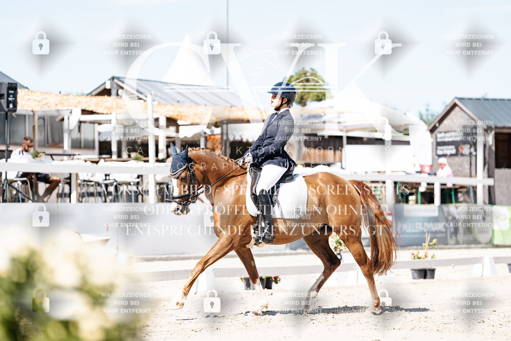 CK909155 | Turnierfotografie Pferdefotografie Trier Rheinland-Pfalz Pferdesport Reitsport Tierfotografie Sportfotografie Pferdevideo Pferdevideografie Equestrianvideography equestrianphotography  - Realisiert mit Pictrs.com
