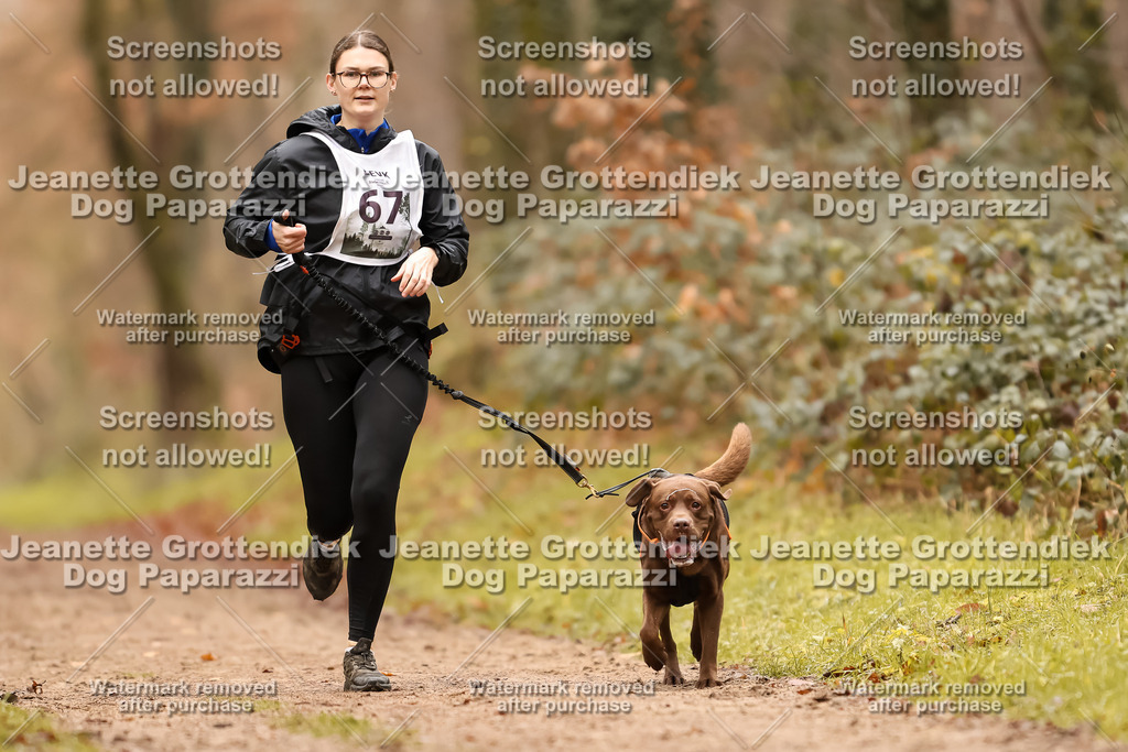 Dog Paparazzi - Speedhunter Mannheim  2025-198 | Dog Paparazzi Jeanette Grottendiek Fotografie & Videografie