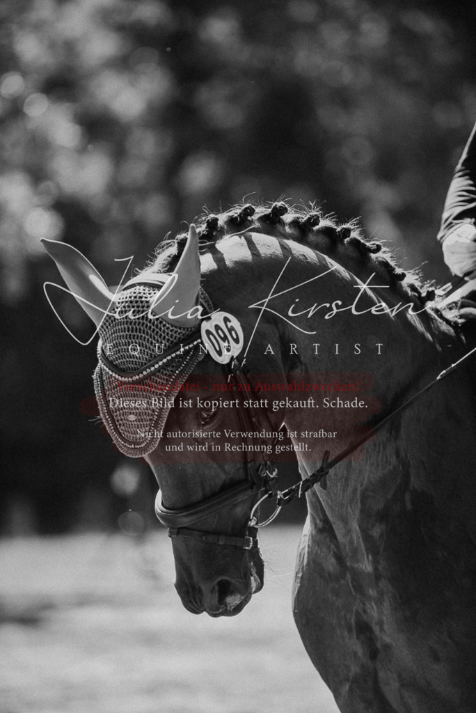 DSC_0525 | Pferde- und Turnierfotografie in Westsachsen. Pferdeportraits, Auftragszeichnungen und intuitive Kunst.