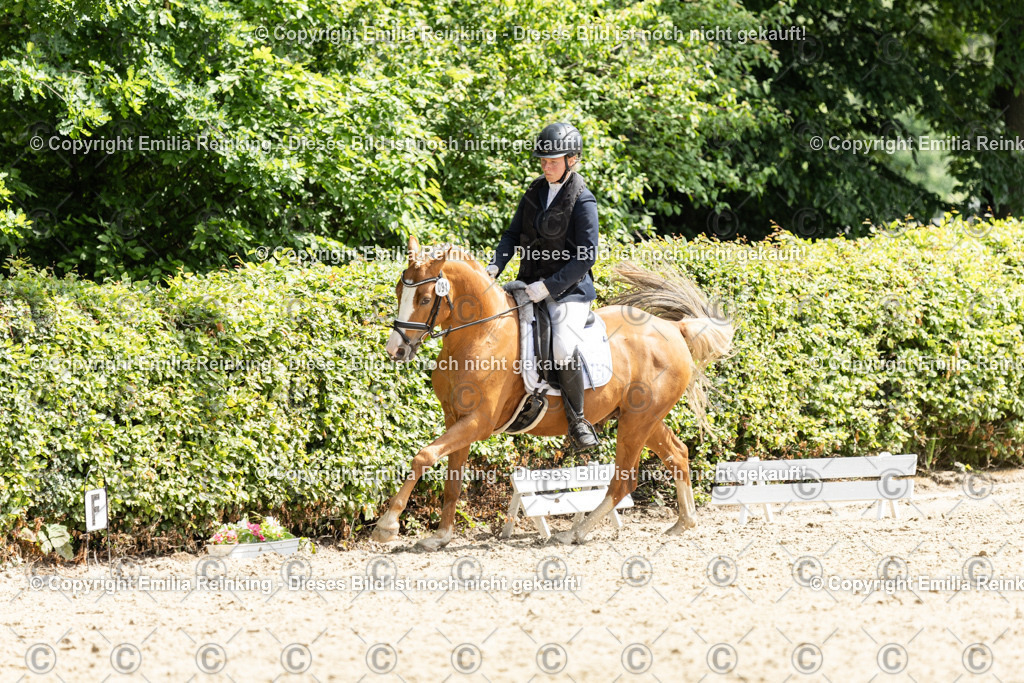 CL5A8138 | Emilia Reinking Fotografie - Realisiert mit Pictrs.com