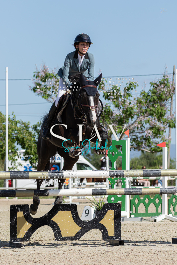 IMG_0814 | s-jay-photography - Realisiert mit Pictrs.com