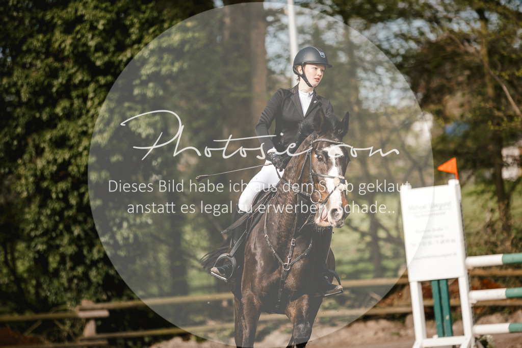 3I6A3486 | Stimmungsvolle Portraits und Reitsportfotografie im Ruhrgebiet und im Münsterland.

Pferdefotografie, Hundefotografie, Tierfotografie, Reportagen, Portraits von Tier und Mensch, Turnierfotografie in Bochum, Recklinghausen, Marl, Haltern am See, Dülmen.. - Realisiert mit Pictrs.com