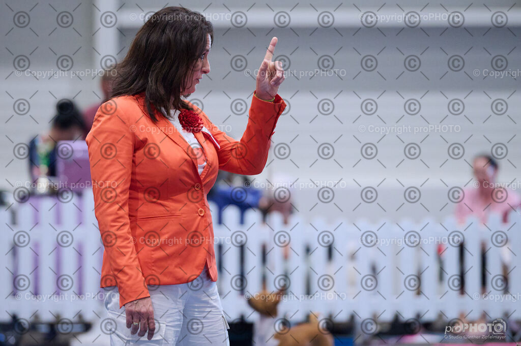 202406_ÖKV-IHA-Tulln24_DSC_3937 | proPHOTO - Realisiert mit Pictrs.com