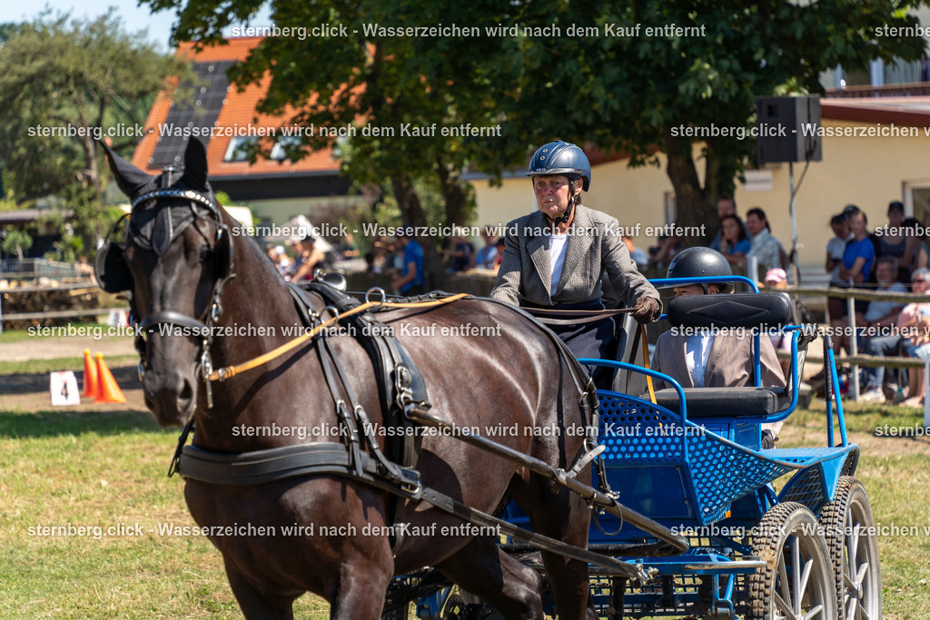 2026-08-09_11-28-12_WBO_Pulsnitz | sternberg.click - Realisiert mit Pictrs.com
