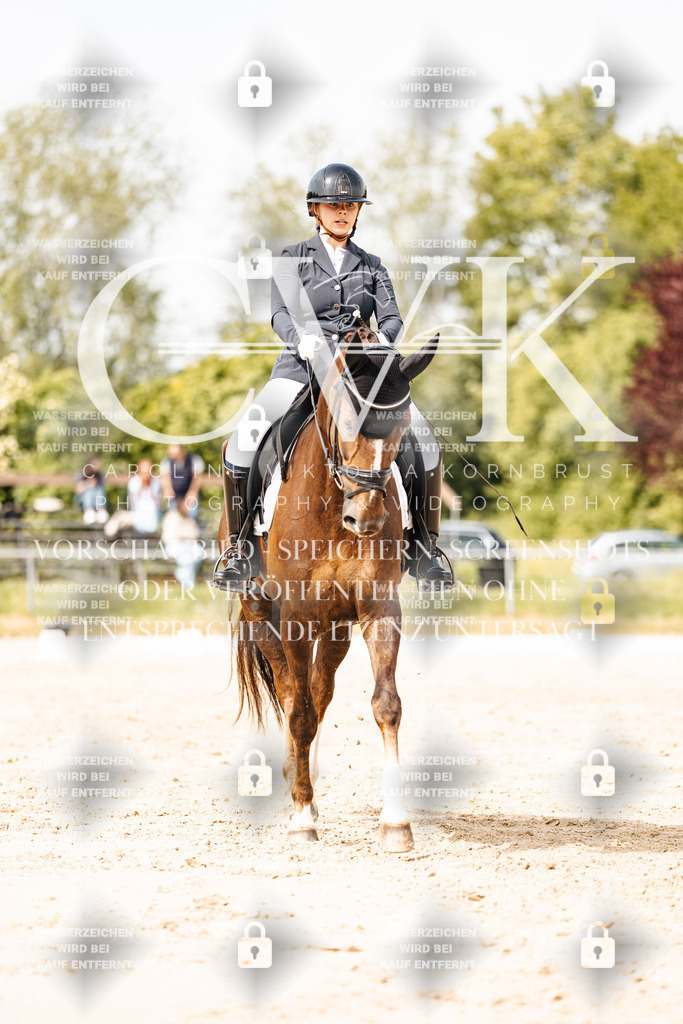 CK901294 | Turnierfotografie Pferdefotografie Trier Rheinland-Pfalz Pferdesport Reitsport Tierfotografie Sportfotografie Pferdevideo Pferdevideografie Equestrianvideography equestrianphotography  - Realisiert mit Pictrs.com