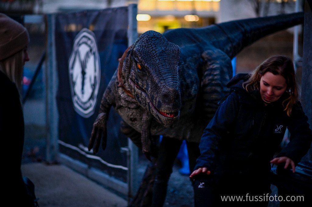 IMG_0065 | "Fussifoto.com – Ihr Ansprechpartner für hochwertige Fotografie! Entdecken Sie kreative Bilder und professionelle Dienstleistungen. Kontaktieren Sie uns für Ihre Projekte!"