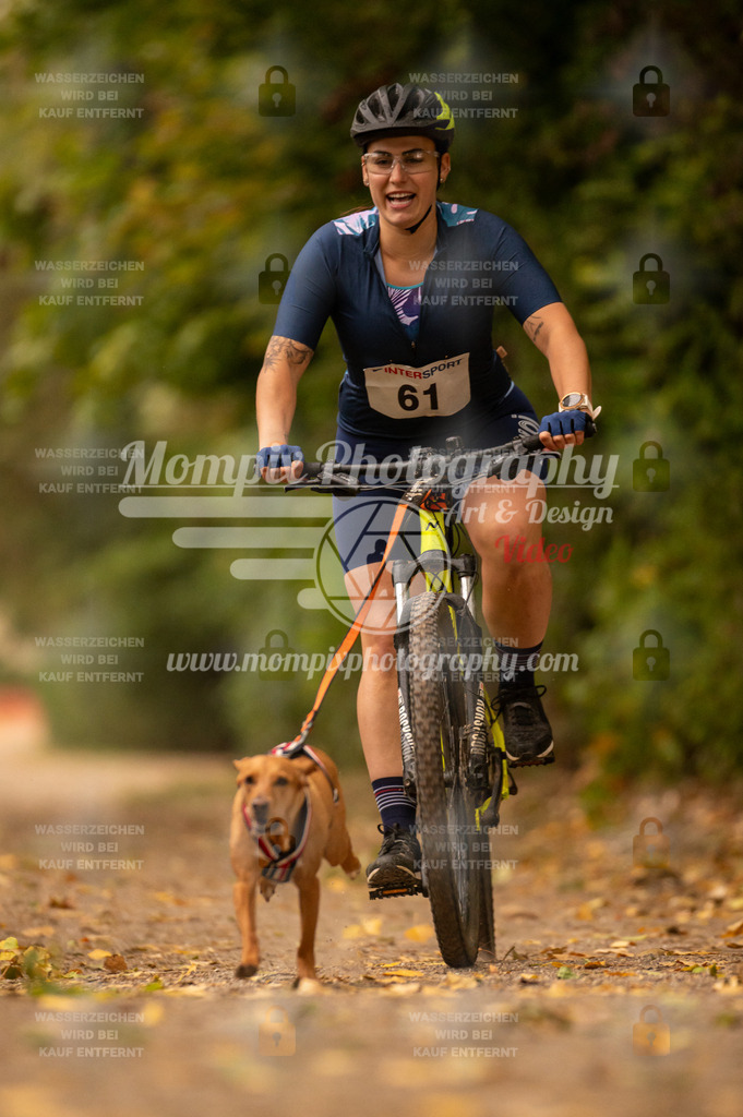 CDLBDB_14_10_2023_Samedi-87 | PayLife