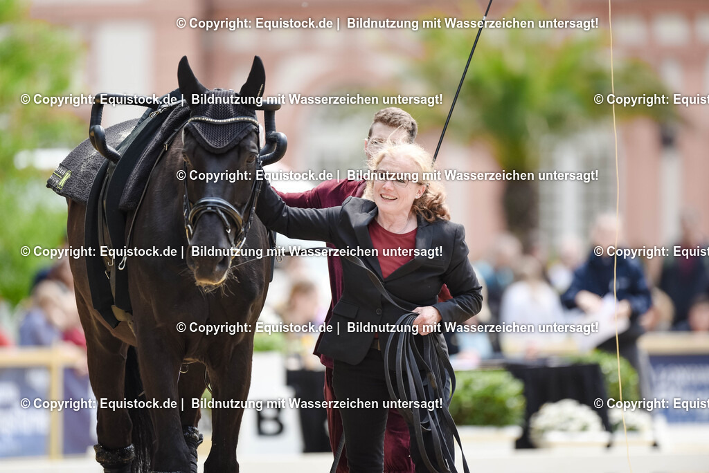 20250608_CVI-Masterclass_0348 | Foto: Thomas Hartig