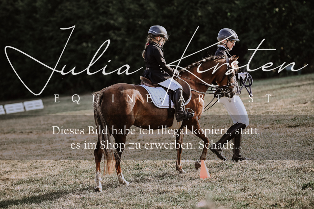 DSC_0102 | Pferde- und Turnierfotografie in Westsachsen. Pferdeportraits, Auftragszeichnungen und intuitive Kunst.