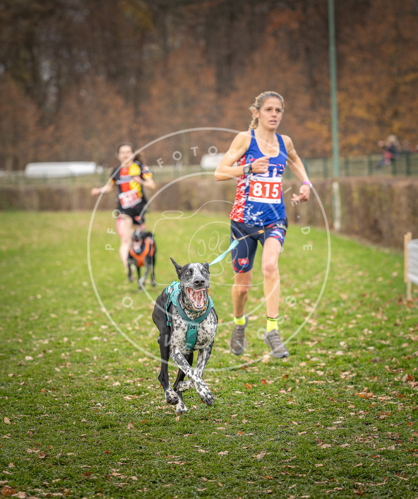 CaniXpix_DV3A6171 | Hundefotografie, Tierfotograf, Pfotenfotografie, Fotoshooting Hund, Hunde Portrait, Hundesport, Hundeportraits, Heideshooting, Hunde, Sportfotograf, Hundefotograf, Turnierhundsport, THS,  - Realisiert mit Pictrs.com