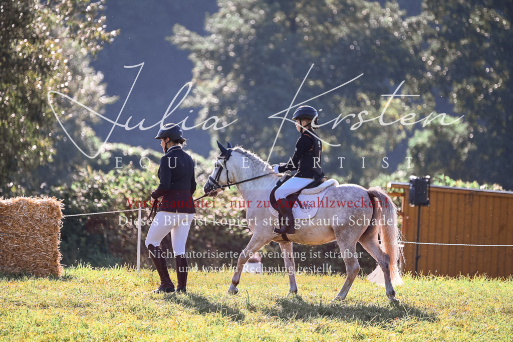 DSC_0427 | Pferde- und Turnierfotografie in Westsachsen. Pferdeportraits, Auftragszeichnungen und intuitive Kunst.