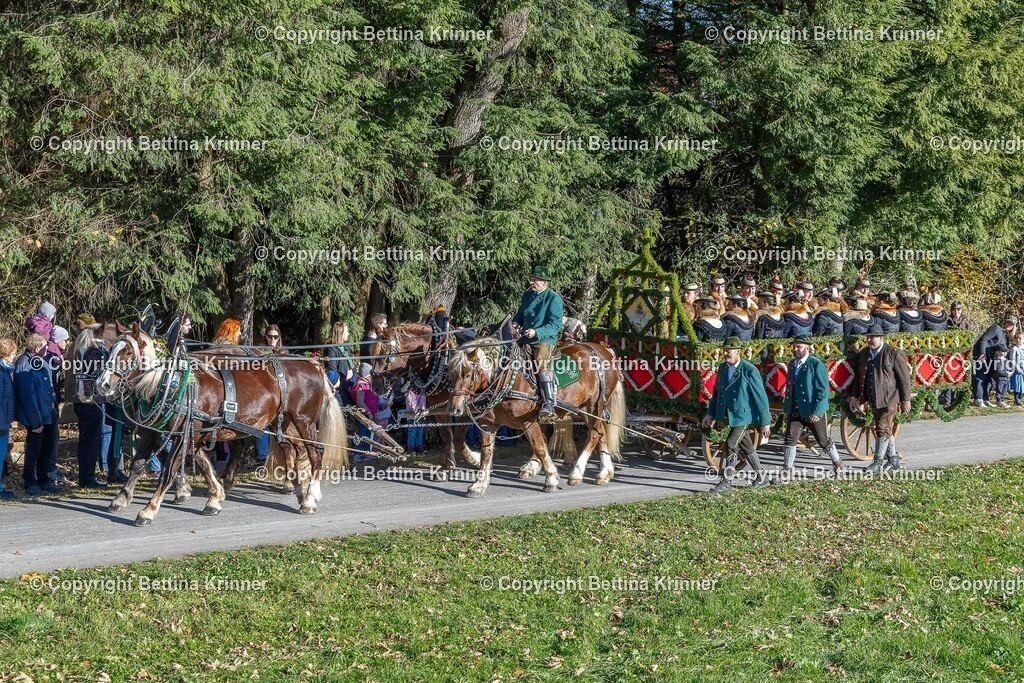 LBT25-212 | foto-bettina-krinner - Realisiert mit Pictrs.com