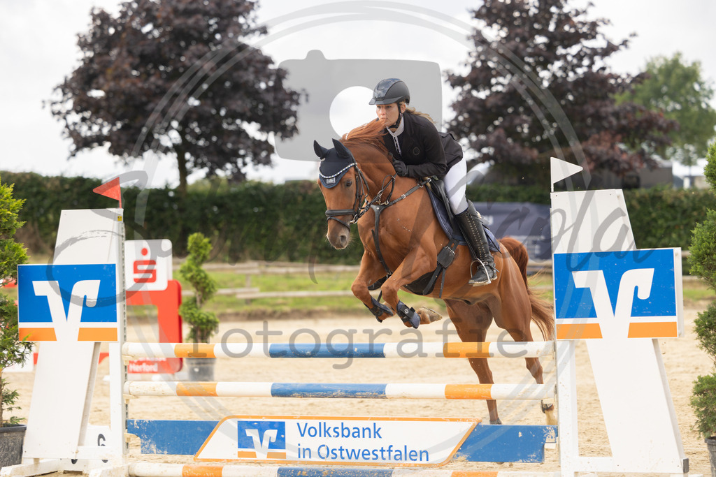 994A7810 | sabrinanicolaifotografie - Realisiert mit Pictrs.com