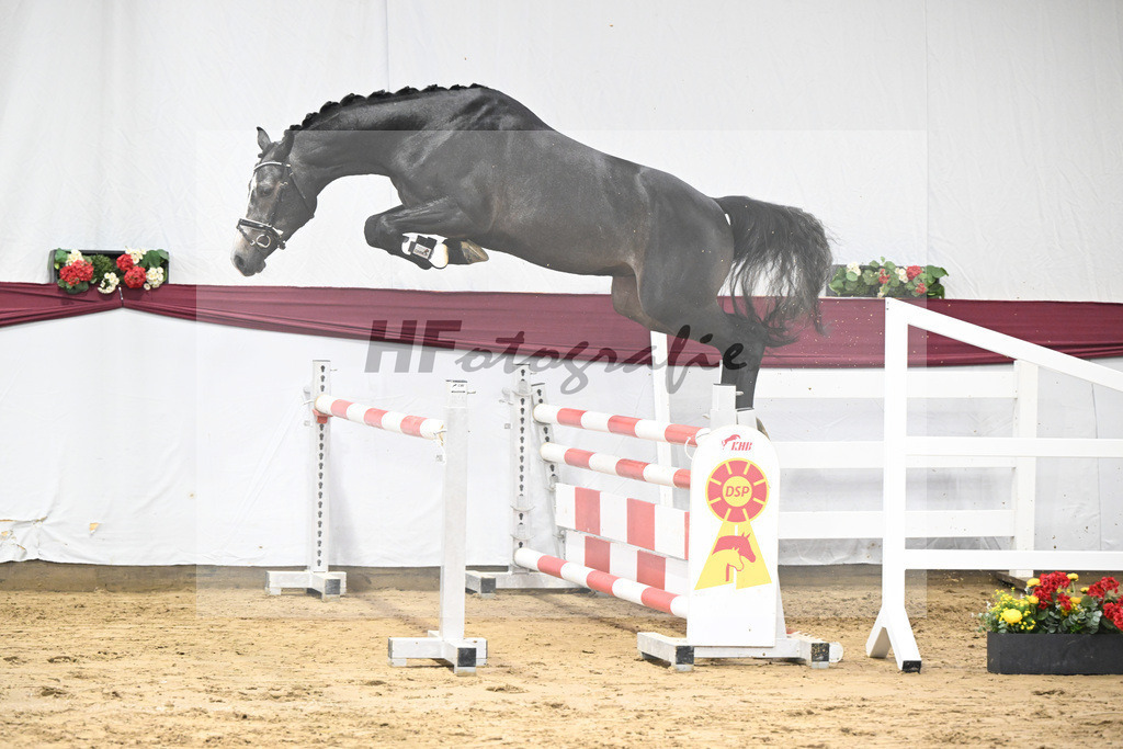 Kat-Nr. 92 Vingino x Stolzenberg_Markus u Leonhard Diez_47252657 | hf-fotografie - Realisiert mit Pictrs.com