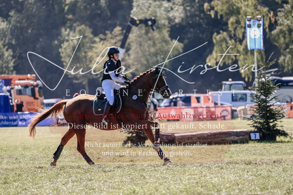 DSC_3148 | Pferde- und Turnierfotografie in Westsachsen. Pferdeportraits, Auftragszeichnungen und intuitive Kunst.