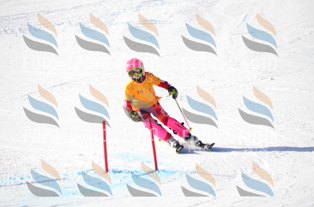 C5922 | holidayphoto