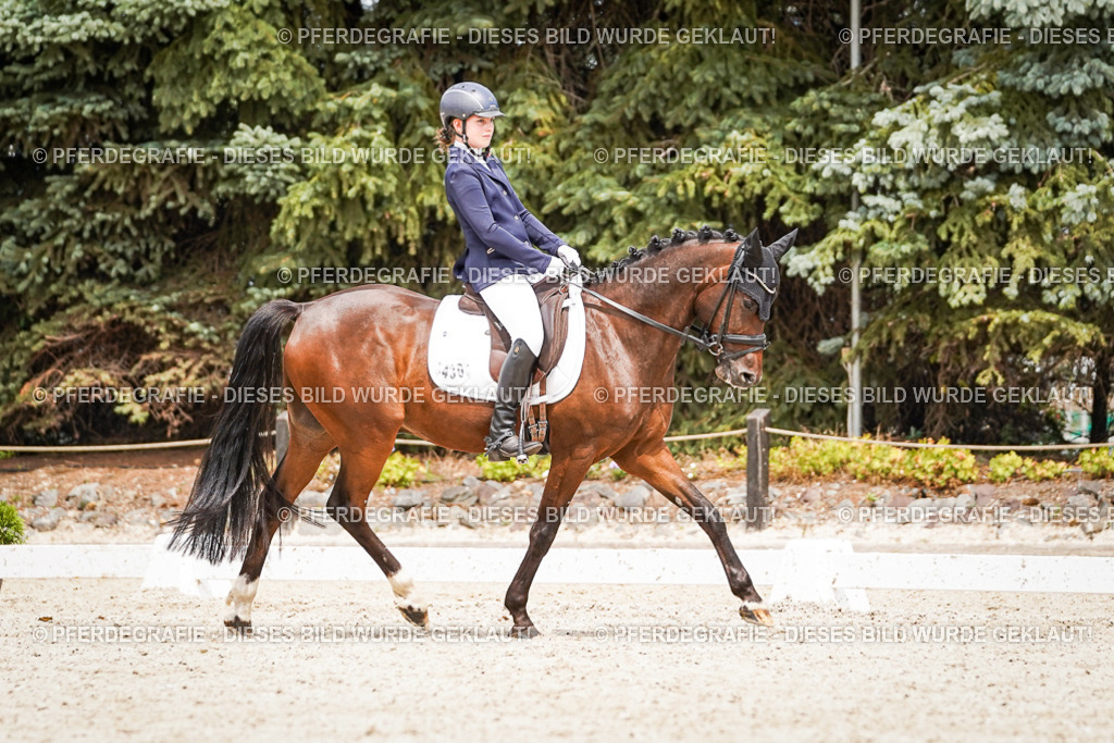 DSC04185 | Pferdegrafie