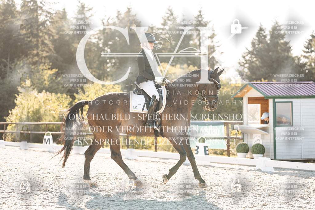 CK907195 | Turnierfotografie Pferdefotografie Trier Rheinland-Pfalz Pferdesport Reitsport Tierfotografie Sportfotografie Pferdevideo Pferdevideografie Equestrianvideography equestrianphotography  - Realisiert mit Pictrs.com