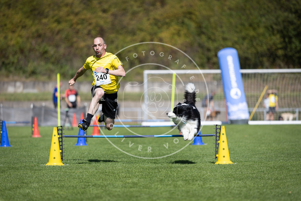 Pfotenfotografie_DV3A5895 | Hundefotografie, Tierfotograf, Pfotenfotografie, Fotoshooting Hund, Hunde Portrait, Hundesport, Hundeportraits, Heideshooting, Hunde, Sportfotograf, Hundefotograf, Turnierhundsport, THS,  - Realisiert mit Pictrs.com