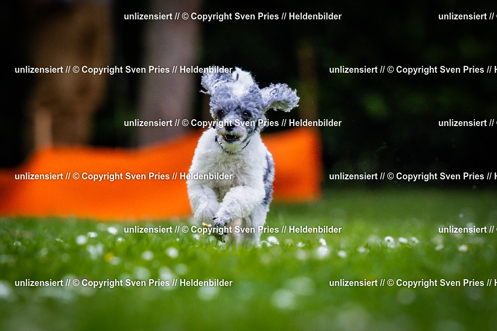 Sven Pries | 2025-05-29 - Pudelrennen KA-Durlach - Realisiert mit Pictrs.com